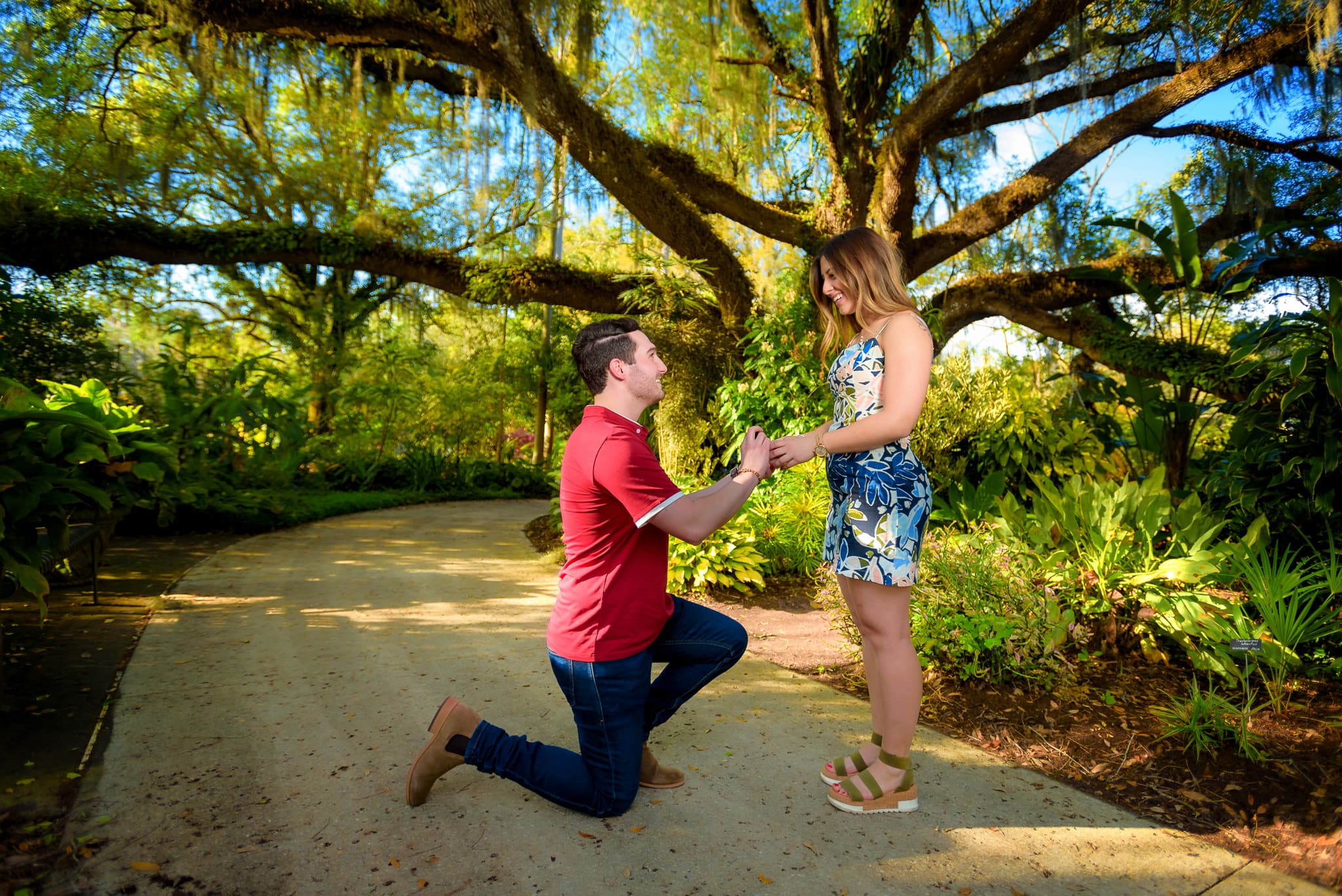 Garden Proposal Under the Palms — photo 3 of 4