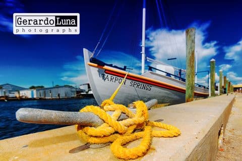 Tarpon Springs sponge docks