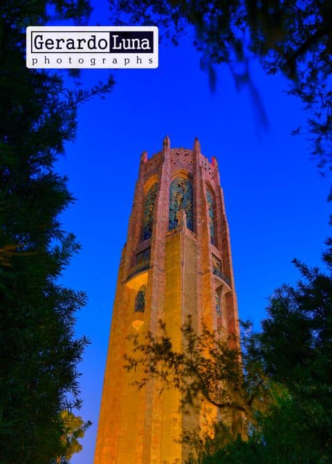 Bok Towers at night