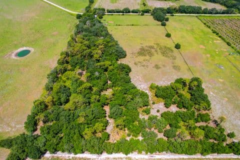 Vacant lot, Tampa Bay