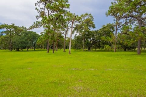 Vacant lot, Tampa Bay
