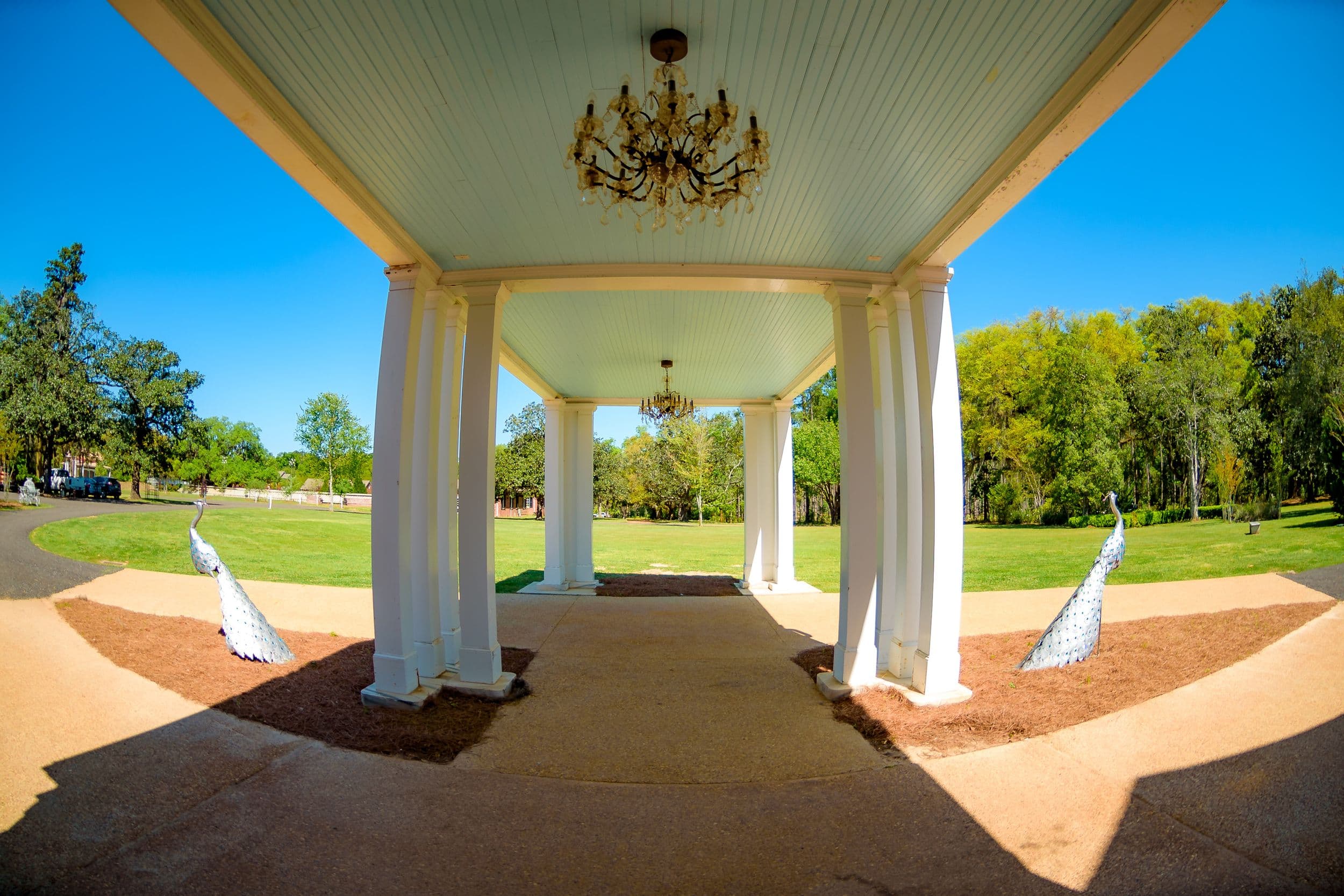 Chandelier Ballroom Wedding — photo 10 of 17