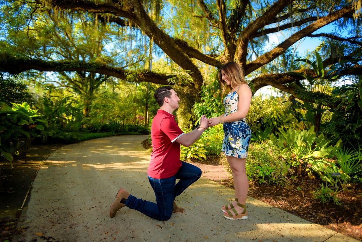 Garden Proposal Under the Palms — photo 3 of 4